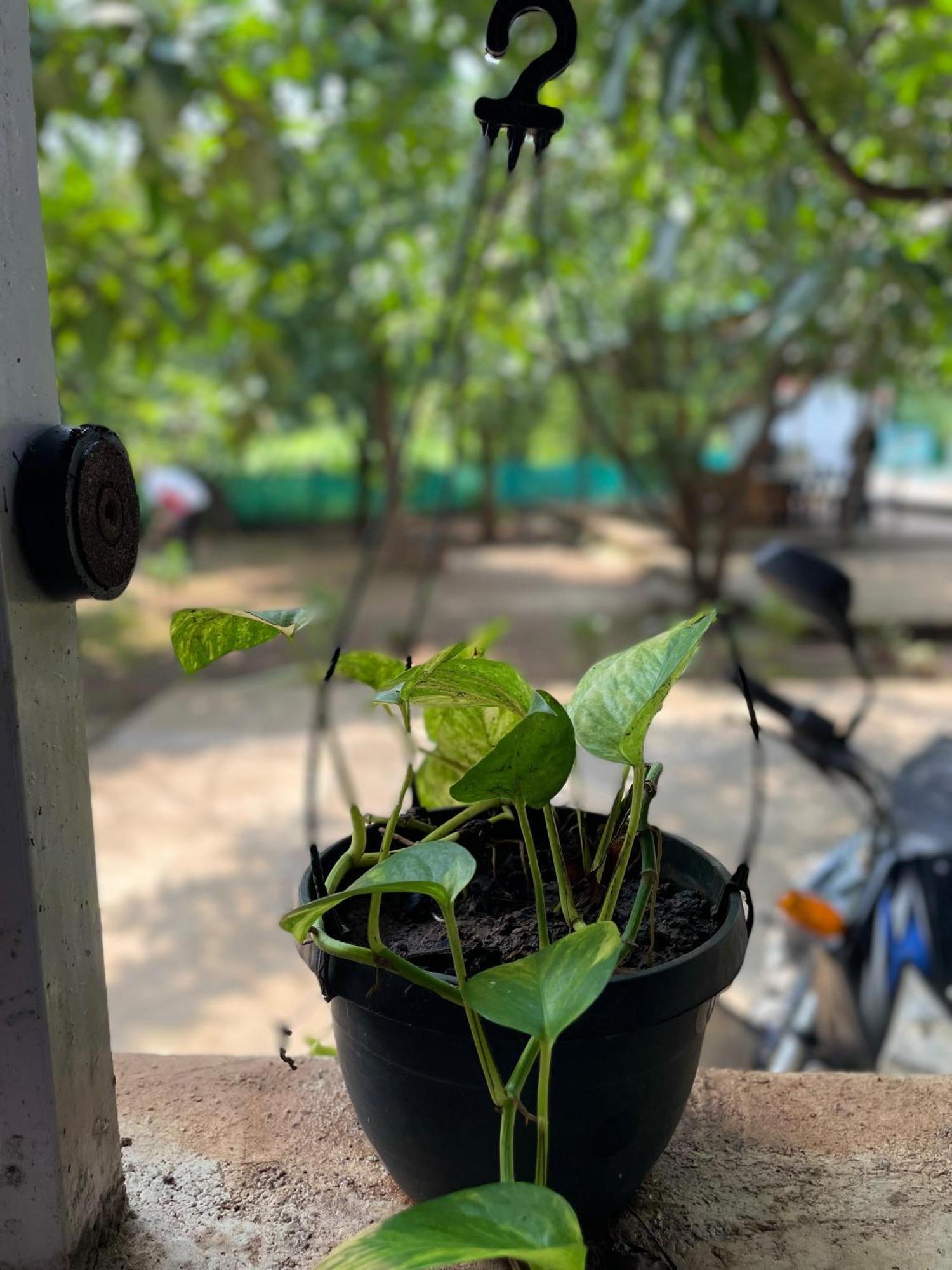 Riverland Farm And Resort Karjat Buitenkant foto